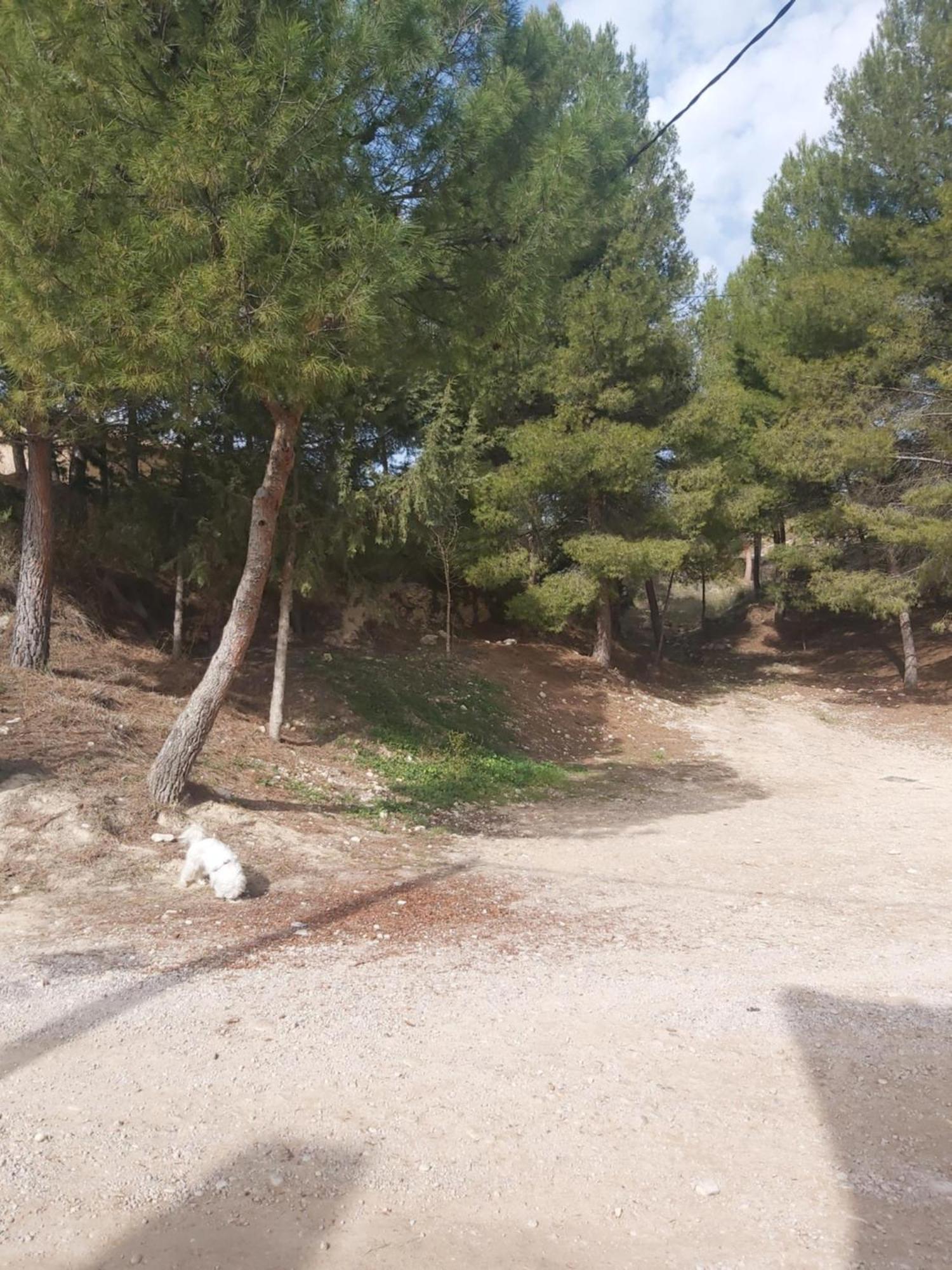 Casa Rural Puente Del Segura Elche de la Sierra Exterior photo